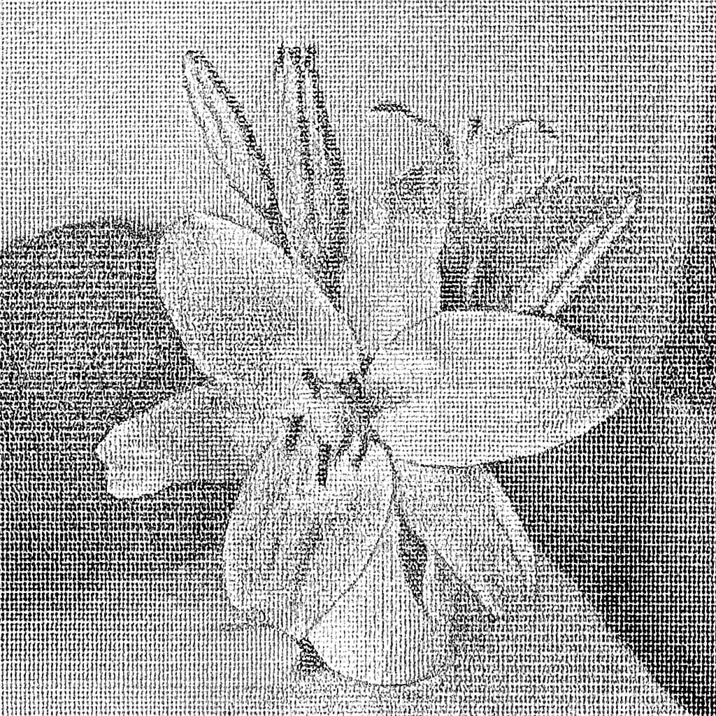 ASCII Art: Turning Text into Visual Magic (No Graphics Needed!)